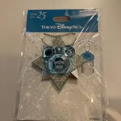 東京ディズニーシー スパークリングジュビリー