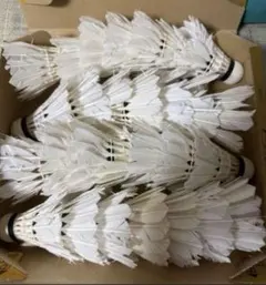 中古シャトル28個入り
