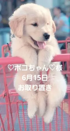 ♡ポコちゃん♡様お取り置き