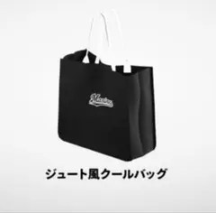 千葉ロッテ　クールバッグ