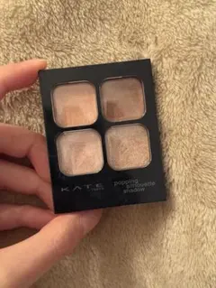 【えみ様】KATE ポッピングシルエットシャドウ ロージーポップ RD-1