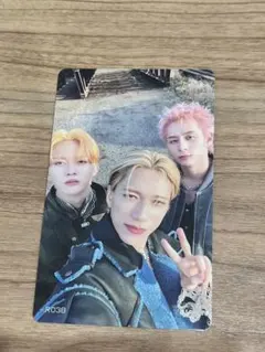 INI EXHIBITION 入場特典 R038ドス鯉