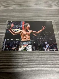 秋元強真　RIZIN神戸大会試合写真　L版