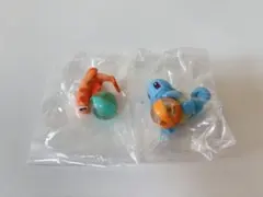 シャリタツ ゼニガメ ぎらぎらサンシャイン4