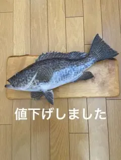 2025年最新】魚 剥製の人気アイテム - メルカリ