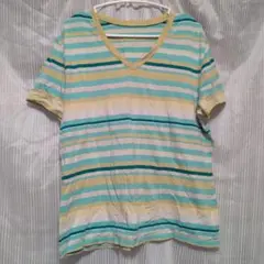 VALERIE STEVENS 【L】VネックTシャツ