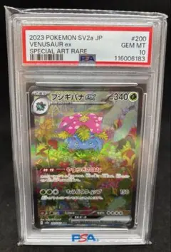 フシギバナexSAR【PSA10】ポケモンカード151 ワンオ―ナ―品 PSA10】フシギバナex SAR ポケモンカード151 - メルカリ