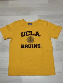 UCLA ブルーインズ Tシャツ イエロー