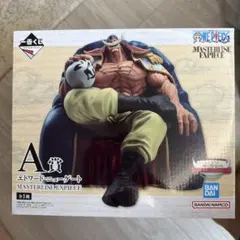 MASTERLISE EXPIECE A賞 エドワード・ニューゲート