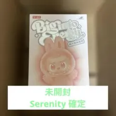 【正規品】ラブブ Big into Energy エナジーSERENITY