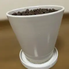 無印良品　植木鉢　陶器製のサムネイル