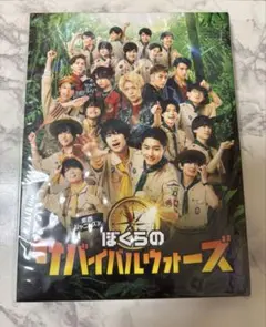 少年忍者 DVD セット Amazon.co.jp: 忍者 『Summer Fiesta』 VHSビデオ全2巻+CD