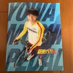 King&Prince 永瀬廉☆弱虫ペダル パンフレット☆おまけ付