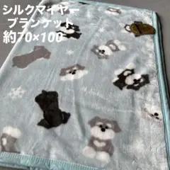 ★新品未使用品★シュナウザー　犬　シルクマイヤー　ふわふわブランケット　ブルー