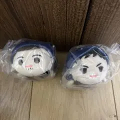 ハイキュー　もちもちマスコット　澤村大地　東峰旭　烏野高校　アニマル