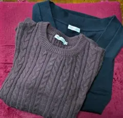Earth　レディースセーターMサイズとベストFサイズ　2点