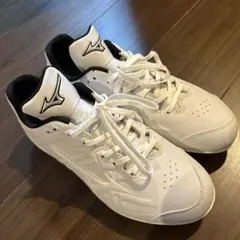 Mizuno LIGHTREVO BUDDY BLT 28.0cmエダシゲ Mizuno LIGHTREVO BUDDY BLT 28.0cmエダシゲ様専用 - メルカリ