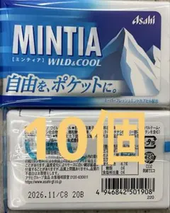 2026年最新】ミンティア ワイルド&クールの人気アイテム - メルカリ