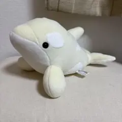 2025年最新】アルビノシャチの人気アイテム - メルカリ