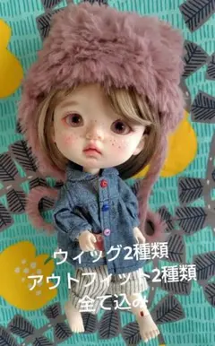 一時値下 作家様 人形 アリス、チェシャ猫 ドール 顔のみビスク - メルカリ