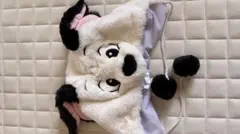 101匹わんちゃん　ファンキャップ（ポンポン付き）