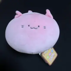 ねこもどき　おてのりましゅもっち　ぬいぐるみ　　ねこもどき　タグ付き
