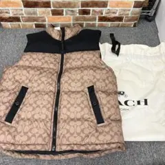 メンズ ダウンベスト