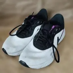 Item thumbnail for item 0199e796-b9c1-4bc8-9986-84cc1591d330