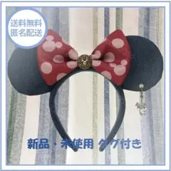 Disney ウエスタン カチューシャ ぬいば ミキミニ TDR ディズニー ぷらん on X: 