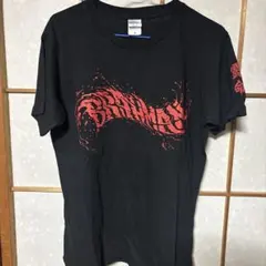 サバシスター SABASISTER ファイヤーロゴ シャツ Lサイズ ほぼ新品