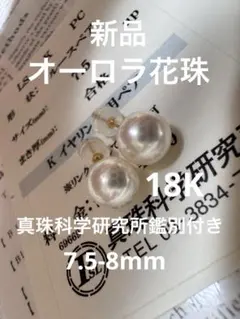 真科研鑑別書付き AKOYA オーロラ真多麻 K18 ピアス ブルー系あこや 