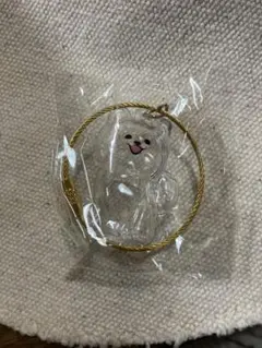 わんこのタイムカプセル　【ラテ】