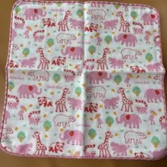 上野動物園動物ガーゼタオル