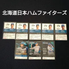 2026カルビープロ野球チップスカード　日本ハムファイターズ8枚