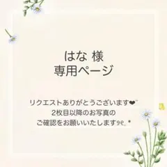 はな様 おまとめ2点