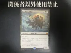MTG 精鋭射手団の目立ちたがり プロモ FOIL 日本語 1枚 - メルカリ