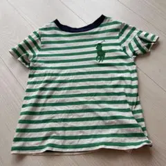 緑と白のストライプ 半袖Tシャツ