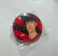 Item thumbnail for item 3030f881-c7a0-4d67-b7c4-087d3a16388d