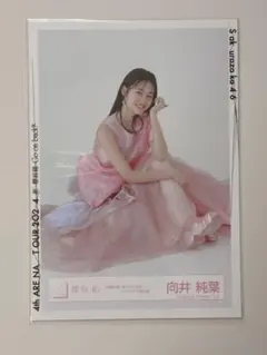 向井純葉 「何歳の頃に戻りたいのか?」ジャケット写真衣装 セミコンプ