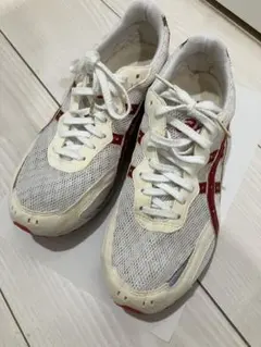 【即購入OK】asics ランニングシューズ ターサージャパン　25.0cmのサムネイル