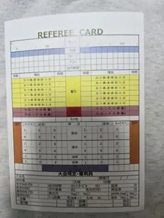 審判カード20枚