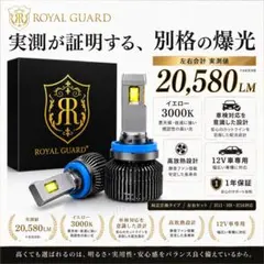 ロイヤルガード オメガ H8 H11 H16 LEDフォグ 実測20580LM - メルカリ