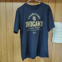 限定品沖縄尚学 第97回選抜高校野球大会記念Tシャツ甲子園優勝記念T　Lサイズのサムネイル