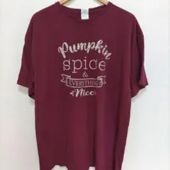 DELTA パンプキンスパイス ロゴ プリント 2XL Tシャツ ボルドー 古着のサムネイル