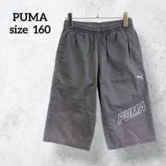 プーマ ハーフパンツ キッズ160 グレージュ コットン カジュアル H0255