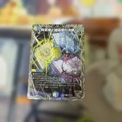 2026年最新】パーフェクトペテンシーの人気アイテム - メルカリ