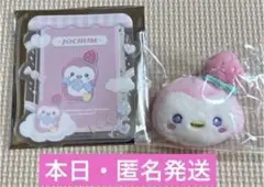 JOCHUM キャンディデザインシリーズ ポポ　ぽぽ　2種セット