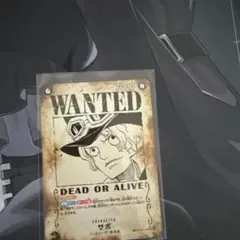 【SP】ワンピース受け継がれる意志 サボ 手配書