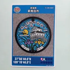 Item thumbnail for item 6462f929-9073-43a4-acdd-64d829de1015