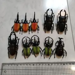 クワガタ・カブトムシフィギュア 10体セット(Aセット)